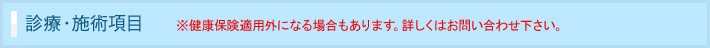 診療・施術項目　※健康保険適用外になる場合もあります。詳しくはお問い合わせ下さい。